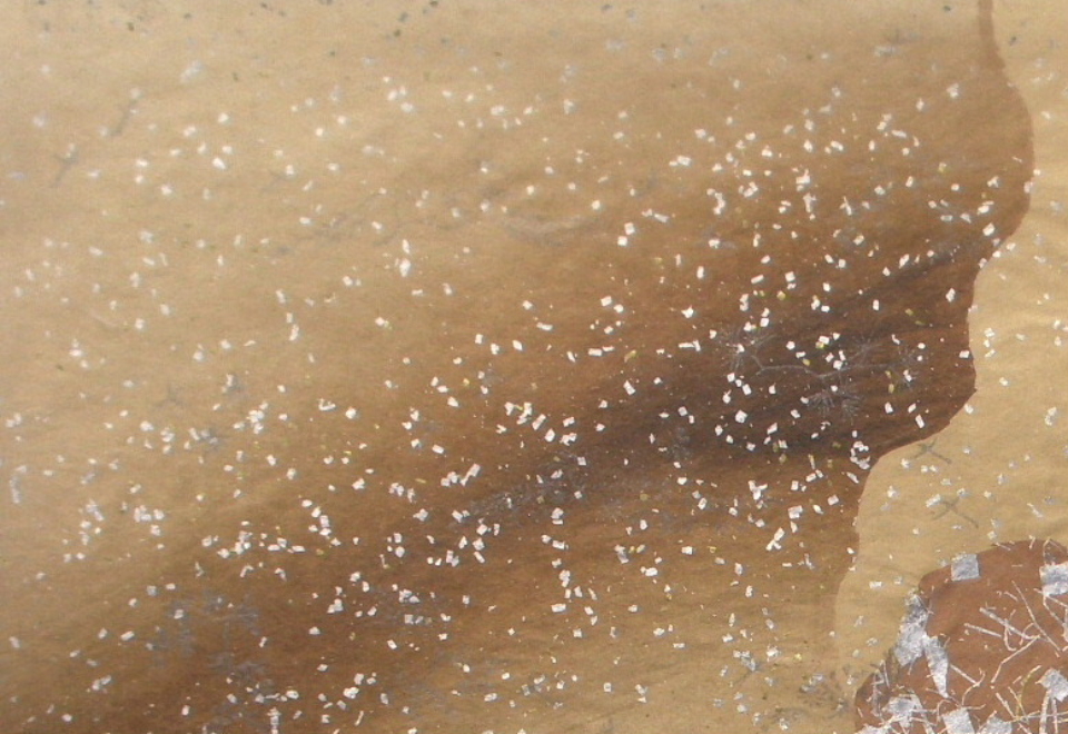 $B;0==O;?M=8!!!J85??=8!K!!NW=qMQ;f!!GK$j7Q!!!XEF!Y!!CcG;C8$\$+$7!!:8>eB&ItJ,3HBg(B