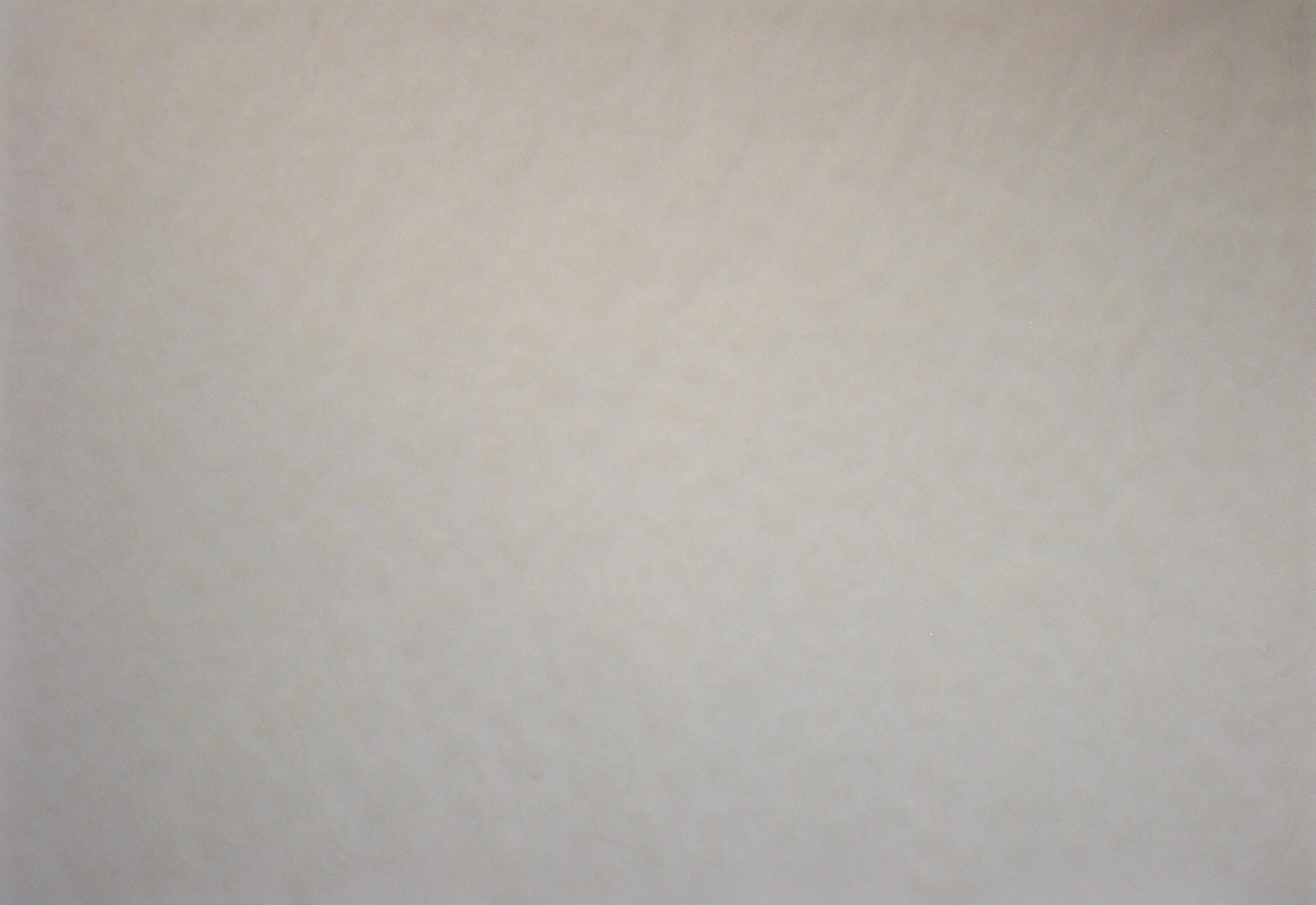本楮雁皮製　装飾料紙　全面具引空摺（二重唐草）　白色　『元永古今集』　全臨用　第２折（第十紙）