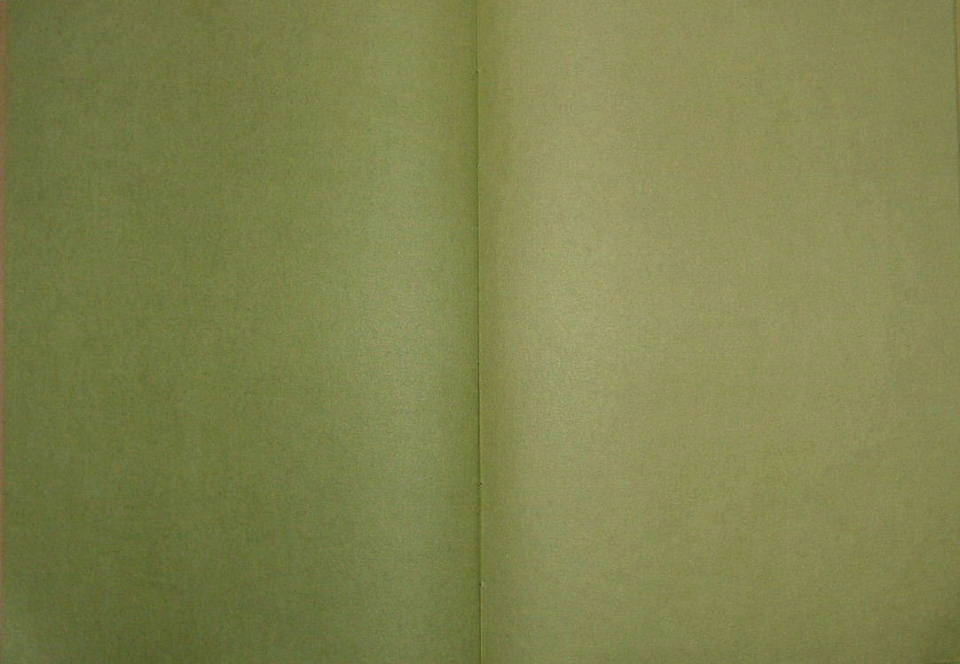 綴葉装 左項（中緑色） 右項（淡緑色）　『染紙』　拡大　（戻る先頭へ）　