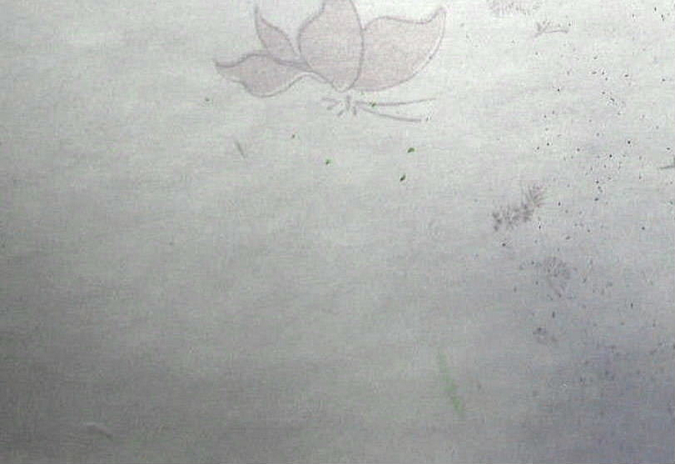 $BFCA*NA;f!!Au>~NA;f!!H>2{;f!!_n6d?'6d0A7?BG!!!XD3!9!Y!!E7$N@nIw:=;R?6!!:82<B&ItJ,3HBg(B