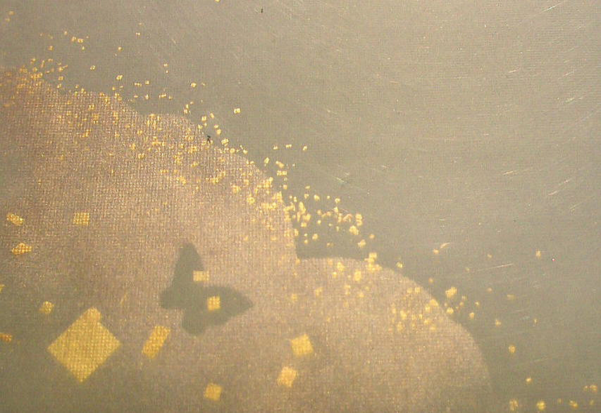 $BFCA*NA;f!!Au>~NA;f!!H>2{;f!!ItJ,$\$+$7!!6b:=;RH43(FCBg@ZGsCV$-!!!XidD3!J$7$8$_$A$g$&!K!Y!!:82<B&!!8w$r<u$1$F$N8+$(J}$X(B