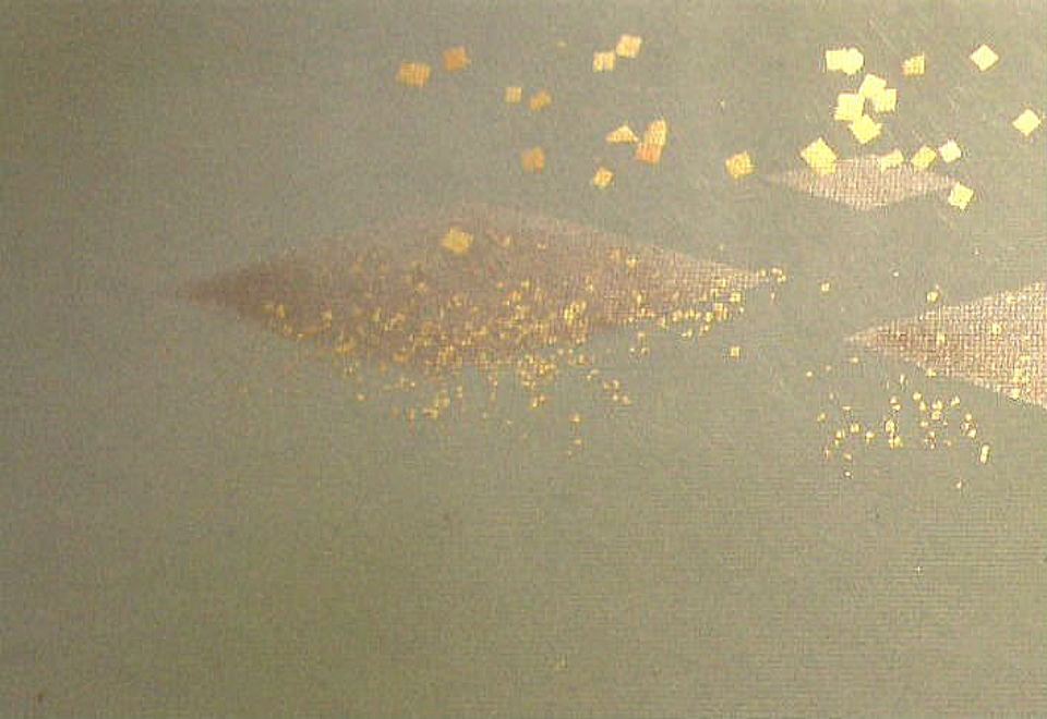 $BFCA*NA;f!!Au>~NA;f!!H>2{;f!!ItJ,$\$+$7!!6b6d:.9g:=;RKa=PIwI)7A1@!!!X0=1@!Y!!6bBg>.@ZGsItJ,3HBg!!!J8w$r<u$1$F$N8+$(J}!K$X(B