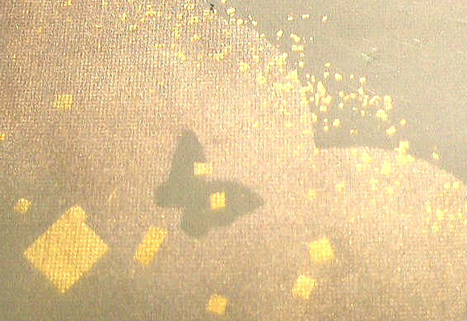 $BFCA*NA;f!!Au>~NA;f!!H>2{;f!!ItJ,$\$+$7!!6b:=;RH43(FCBg@ZGsCV$-!!!XidD3!J$7$8$_$A$g$&!K!Y!!:82<B&3HBg!!8w$r<u$1$F$N8+$(J}$X(B