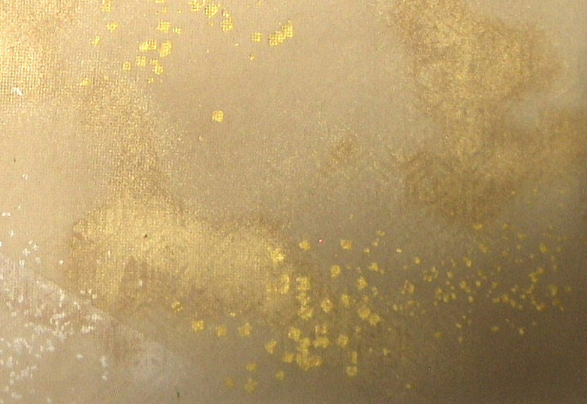 $BFCA*NA;f!!Au>~NA;f!!H>2{;f!!ItJ,$\$+$7!!6b6d:=;RKa=P$7<P$a8r:52b1@!!!XJF559CLf!Y!!1&2<B&ItJ,3HBg(B