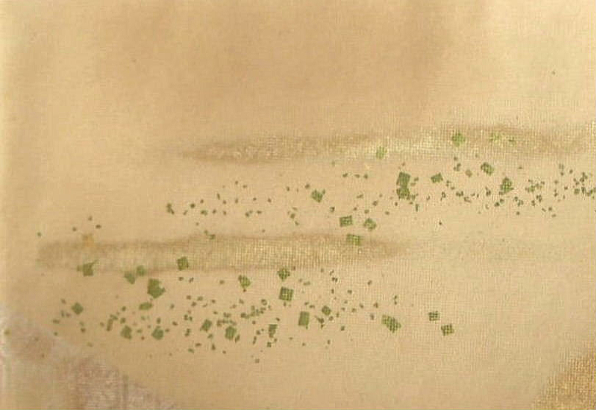 $BFCA*NA;f!!Au>~NA;f!!H>2{;f!!ItJ,$\$+$7!!6b6d:=;RKa=P$7<P$a8r:52b1@!!!XJF559CLf!Y!!:8>eB&ItJ,3HBg(B