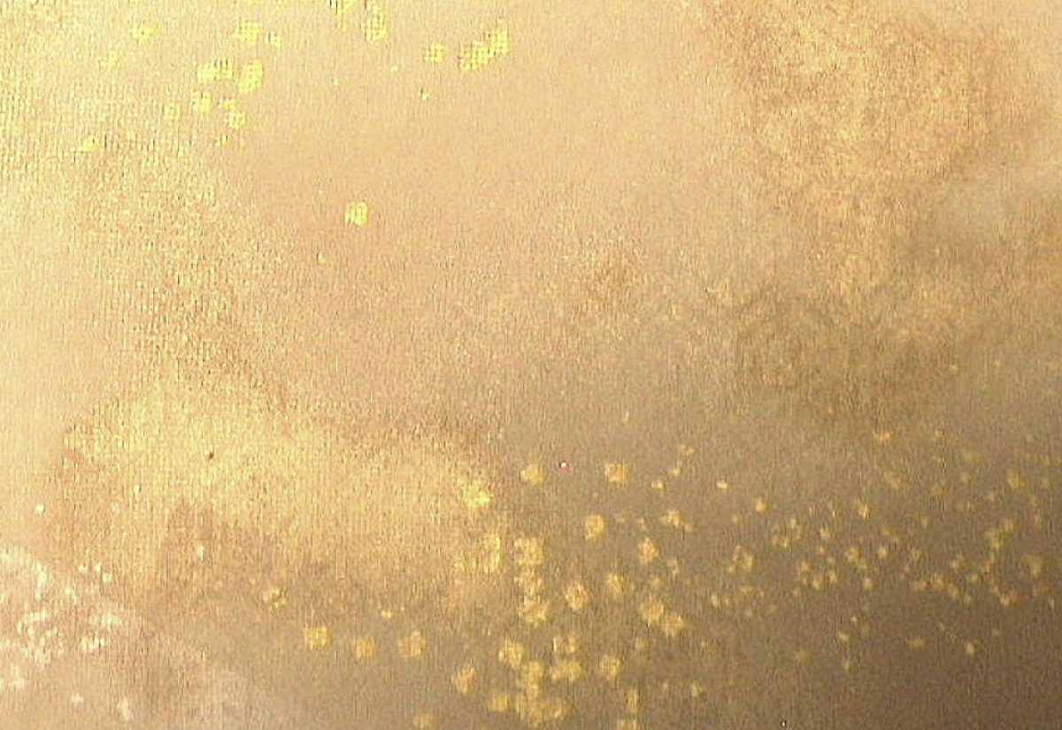 $BFCA*NA;f!!Au>~NA;f!!H>2{;f!!ItJ,$\$+$7!!6b6d:=;RKa=P$7<P$a8r:52b1@!!!XJF559CLf!Y!!1&2<B&!!8w$r<u$1$F$N8+$(J}$X(B