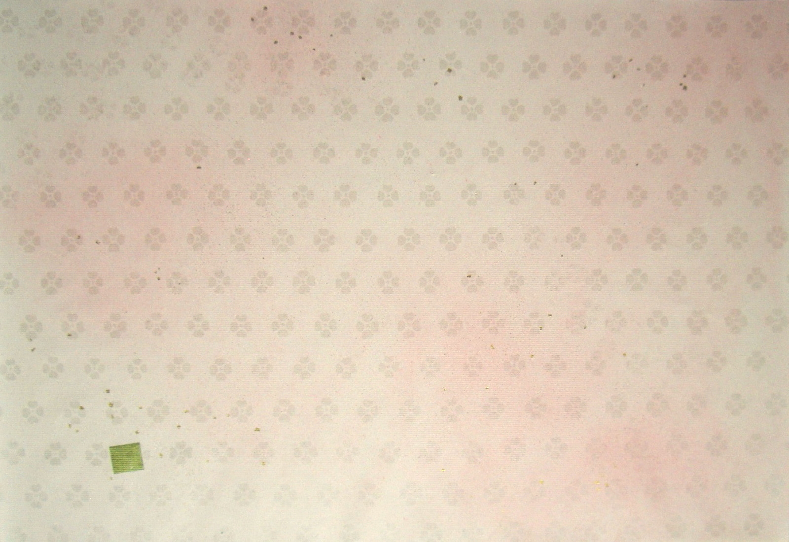 $BFCA*NA;f!!Au>~NA;f!!H>2{;f!!ItJ,$\$+$7!!6q0zEb;f!!!XG_H-Lf!Y!!@D6bFCBgGsCV$-!!ItJ,3HBg$X(B