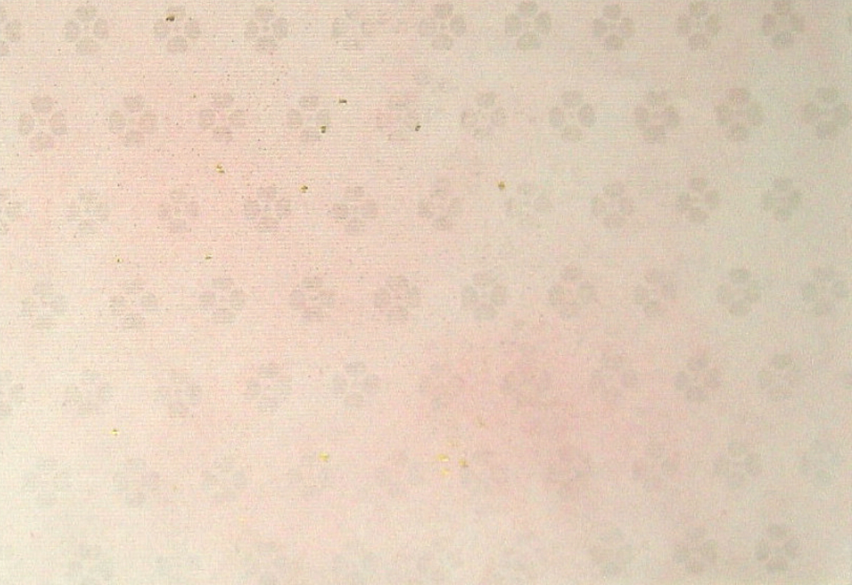 $BFCA*NA;f!!Au>~NA;f!!H>2{;f!!ItJ,$\$+$7!!6q0zEb;f!!!XG_H-Lf!Y!!@D6bFCBgGsCV$-!!1