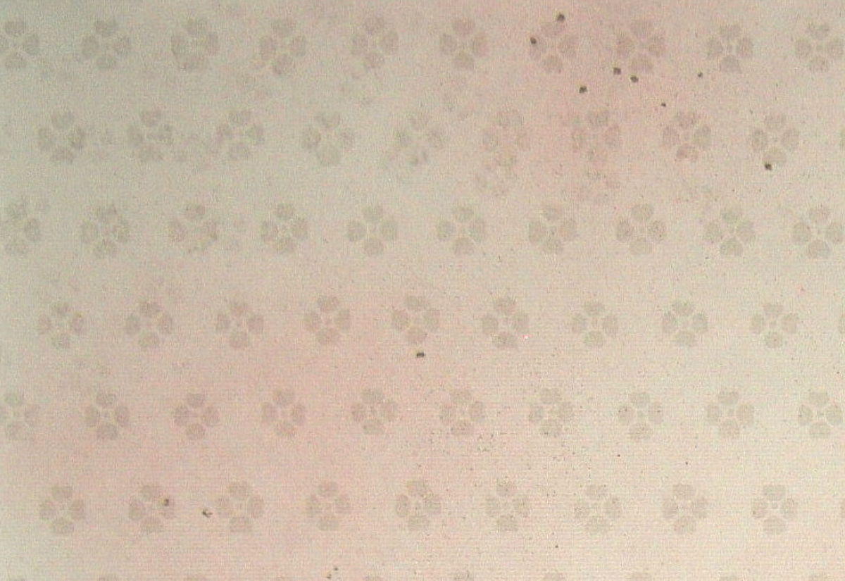 $BFCA*NA;f!!Au>~NA;f!!H>2{;f!!ItJ,$\$+$7!!6q0zEb;f!!!XG_H-Lf!Y!!@D6bFCBgGsCV$-!!1