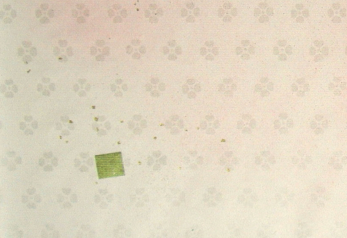 $BFCA*NA;f!!Au>~NA;f!!H>2{;f!!ItJ,$\$+$7!!6q0zEb;f!!!XG_H-Lf!Y!!@D6bFCBgGsCV$-!!<e8w$G$N8+$(J}!!:82<B&ItJ,3HBg(B