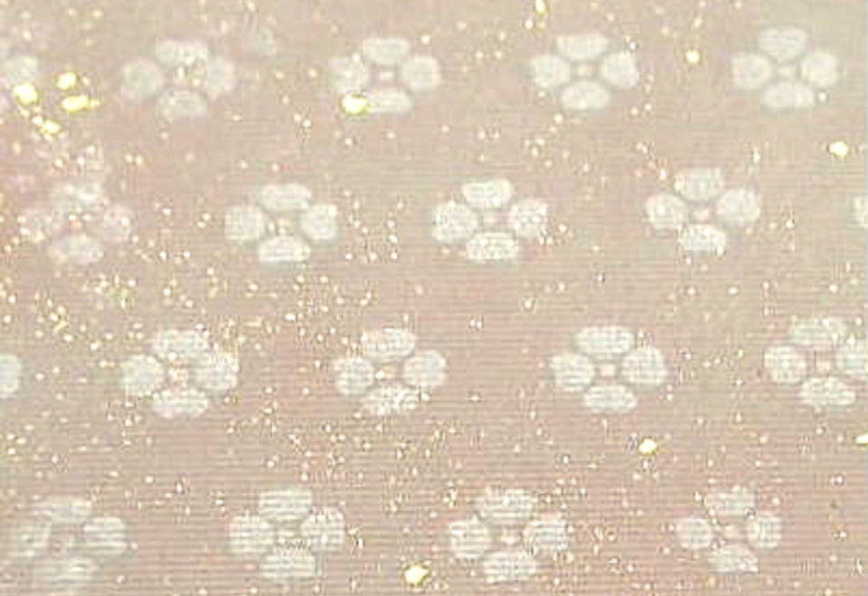 $BFCA*NA;f!!Au>~NA;f!!H>2{;f!!ItJ,$\$+$7!!6q0zEb;f!!!XG_H-Lf!Y!!@D6bFCBgGsCV$-!!1&>eB&ItJ,3HBg$X(B