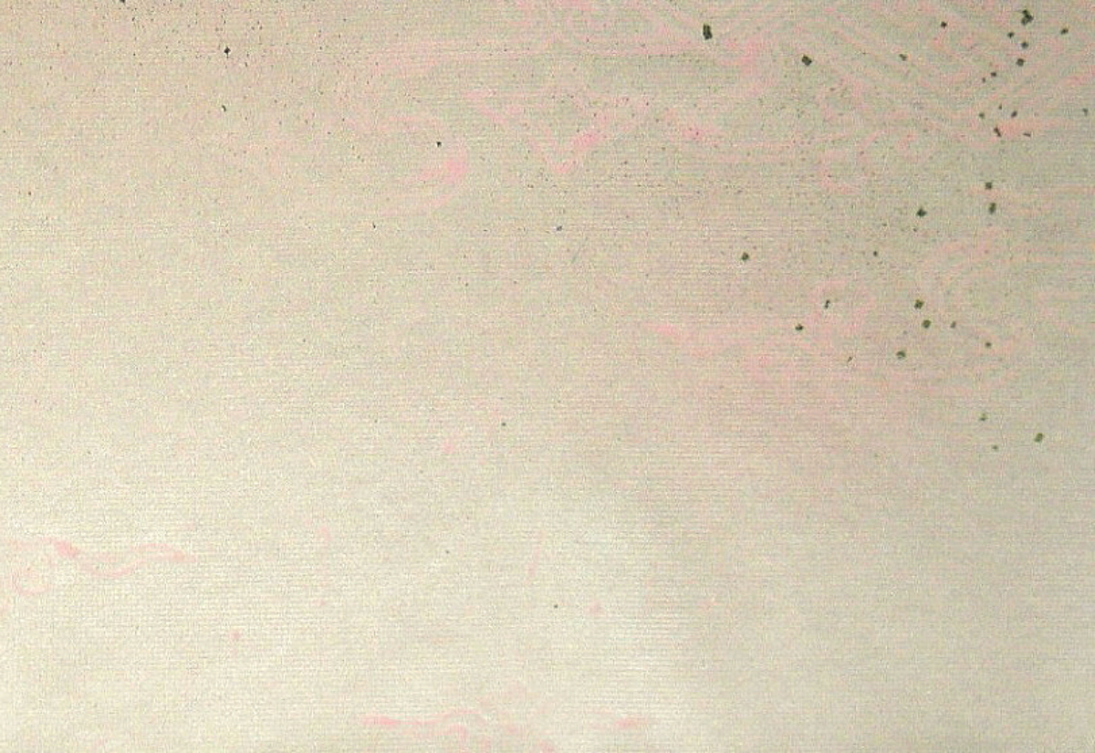 $BFCA*NA;f!!Au>~NA;f!!H>2{;f!!ItJ,$\$+$7!!0+?'!!1@Jl0zEb;f!!!XRD1@!Y!!@D6bFCBgGsCV$-!!<e8w$G$N8+$(J}!!1&2<B&ItJ,3HBg(B