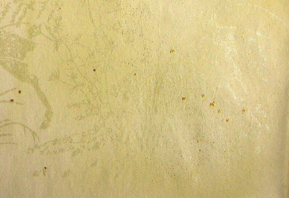 $BFCA*NA;f!!Au>~NA;f!!H>2{;f!!ItJ,$\$+$7!!=B<cAp?'!!6q0zEb;f!!!X=)Ap!Y!!@D6bFCBgGsCV$-!!<e8w$G$N8+$(J}!!1&2<B&ItJ,3HBg(B