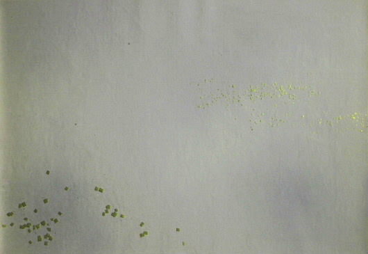 $BFCA*NA;f!!Au>~NA;f!!H>2{;f!!ItJ,$\$+$7!J@D3%?'!K(B $B6q0z;f!!@D6bBg>.@ZGs:=;R(B $B!X=D2#6ZF~!Y(B $B@D6bHt1@@ZGs!!3HBg$X(B