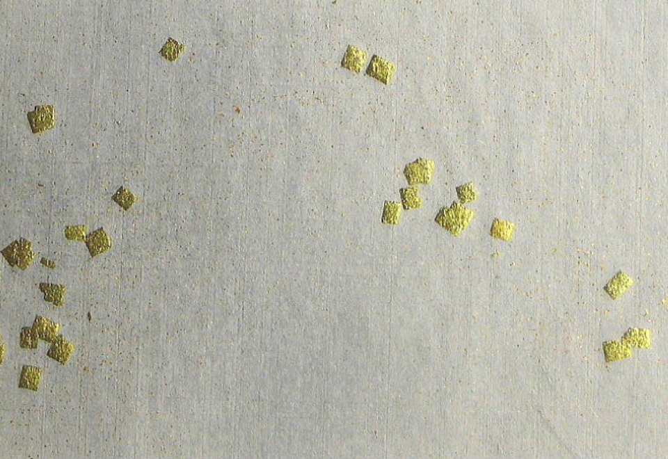 $BFCA*NA;f!!Au>~NA;f!!H>2{;f!!ItJ,$\$+$7!!@D3%?'!!6q0z;f!!!X=D2#6ZF~!Y!!@D6bBg>.@ZGs:=;R?6!!:82<B&!!8w$r<u$1$F$N8+$(J}!!@D6bBg@ZGsItJ,3HBg(B