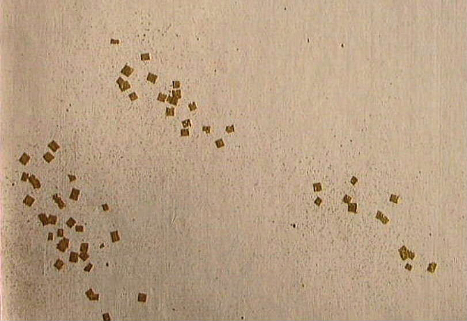 $BFCA*NA;f!!Au>~NA;f!!H>2{;f!!ItJ,$\$+$7!!8EBe;g?'!!6q0z;f!!!X=D2#6ZF~!Y!!6bBg>.@ZGs:=;R?6!!1