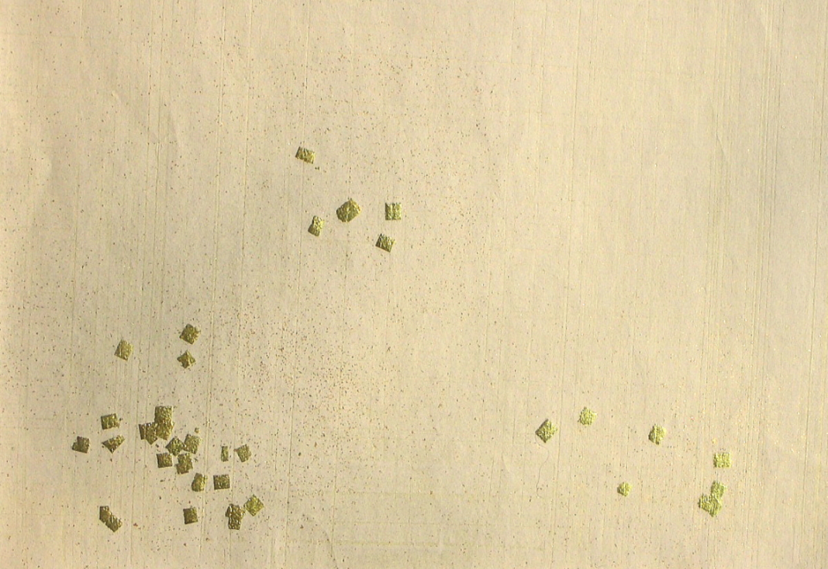 $BFCA*NA;f!!Au>~NA;f!!H>2{;f!!ItJ,$\$+$7!!Gv?e3%?'!!6q0z;f!!!X=D2#6ZF~!Y!!@D6bBg>.@ZGs:=;R?6!!:82<B&!!8w$r<u$1$F$N8+$(J}!!@D6bBg@ZGsItJ,3HBg$X(B