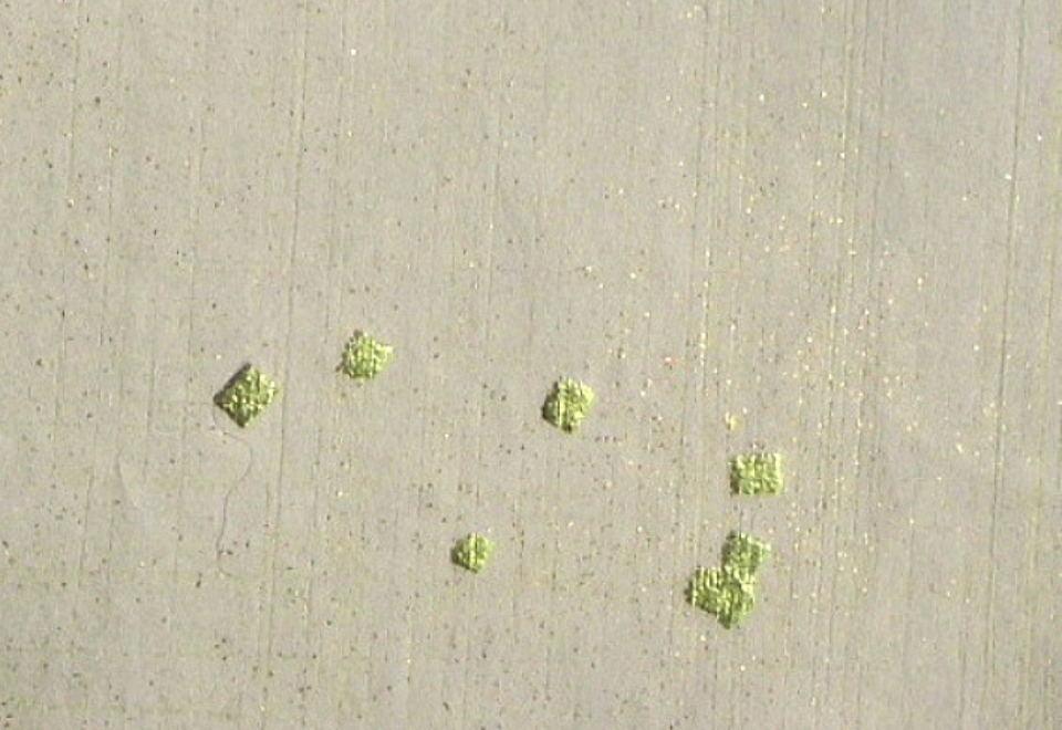 $BFCA*NA;f!!Au>~NA;f!!H>2{;f!!ItJ,$\$+$7!!Gv?e3%?'!!6q0z;f!!!X=D2#6ZF~!Y!!@D6bBg>.@ZGs:=;R?6?6!!@D6b:=;R$N51$/MM;R$X(B