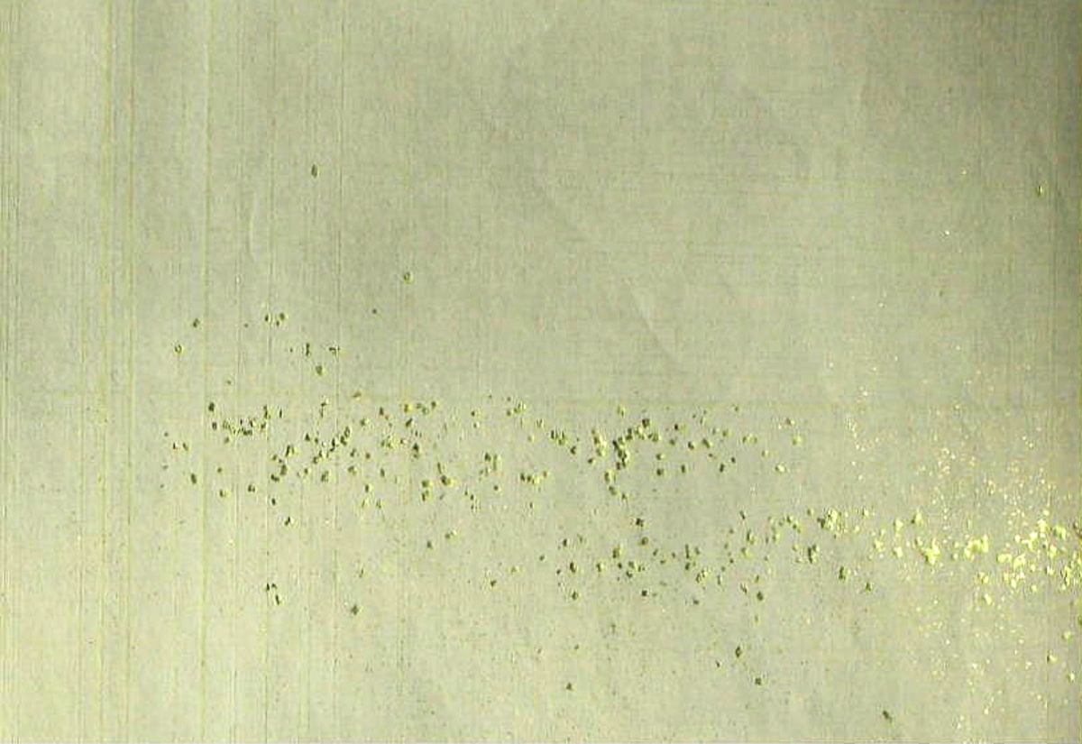 $BFCA*NA;f!!Au>~NA;f!!H>2{;f!!ItJ,$\$+$7!!Gv?e3%?'!!6q0z;f!!!X=D2#6ZF~!Y!!@D6bBg>.@ZGs:=;R?6!!8w$r<u$1$F$N8+$(J}$X(B