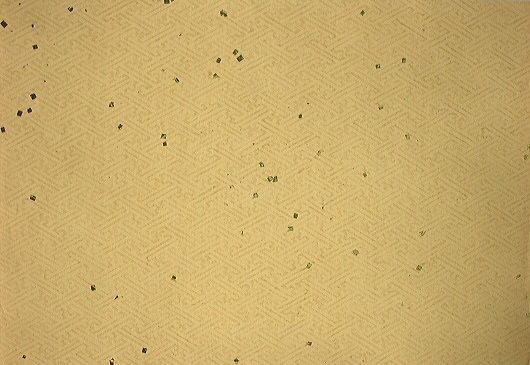 $BFCA*NA;f!!Au>~NA;f!!H>2{;f!!6q0zCf?'!J9a?'!K!!@D6bBg>.@ZGs:=;R!!6q0zO9d5(B $B!X:;Lm7?!Y!!3HBg$X(B